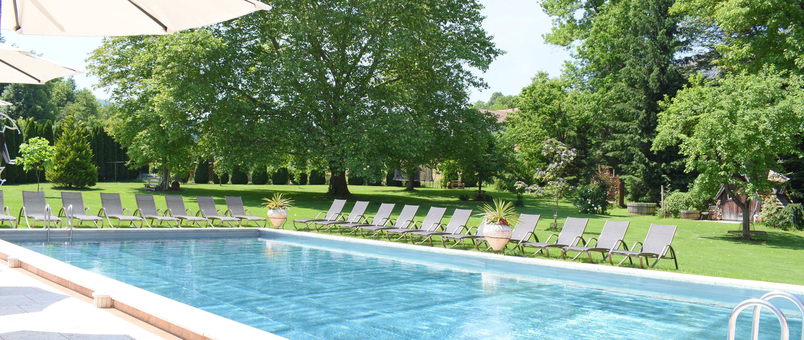 Slide #5 Slide background